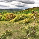 FFC Reflex 82 Kratz Karin 02